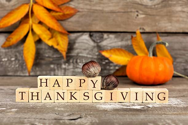 HAPPY THANKSGIVING FROM MAGNUM SYSTEMS