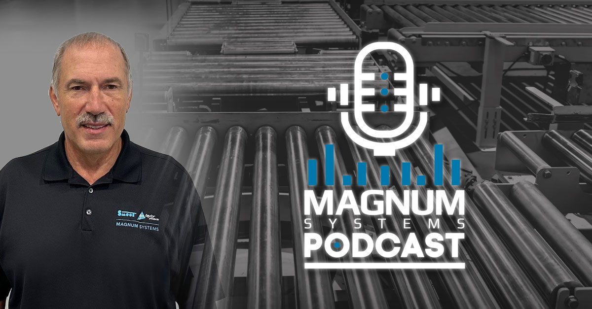 The Secrets of Valve Bag Sealing: Expert Insights from Magnum Systems